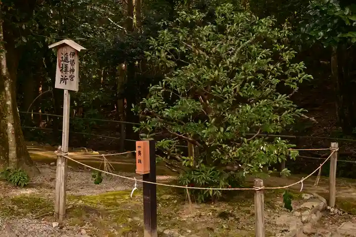 賀茂別雷神社(上賀茂神社)(京都府)