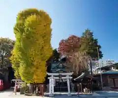 川越八幡宮(埼玉県)