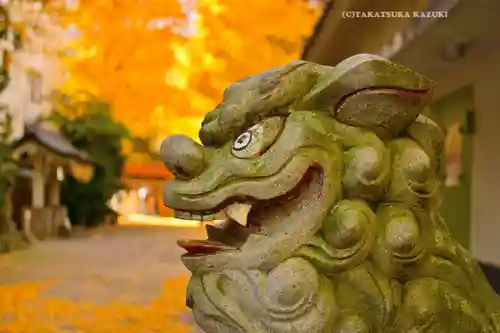 銀杏岡八幡神社(東京都)