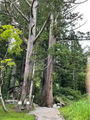 白山中居神社の自然