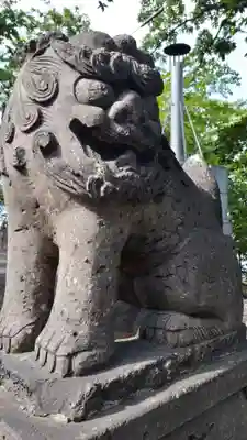 手稲神社の狛犬
