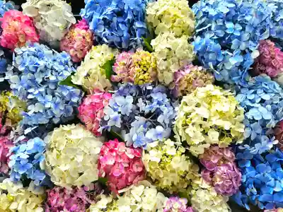 美幌神社(北海道)