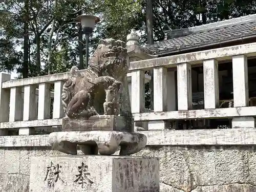 八幡神社の狛犬