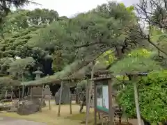 東光寺の庭園