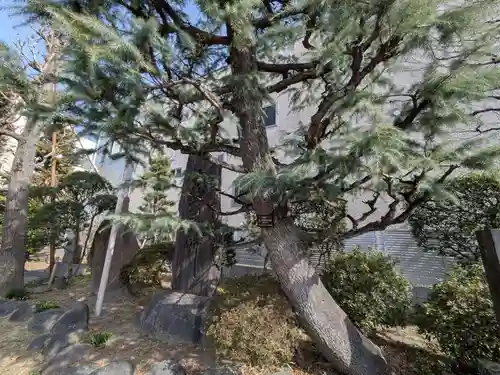 惠明寺(東京都)