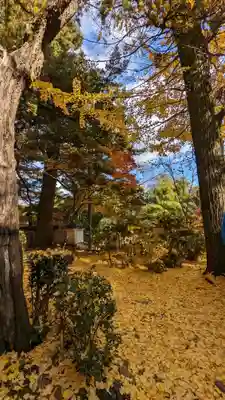 観音寺(京都府)