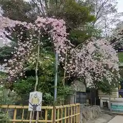新田神社の自然
