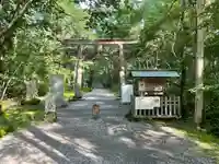 戸隠神社九頭龍社の鳥居