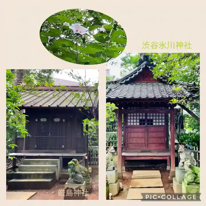 渋谷氷川神社(東京都)