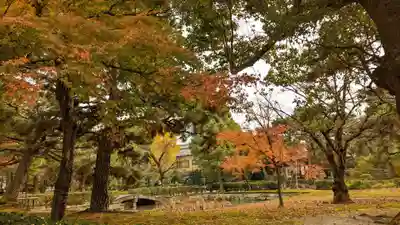 建仁寺（建仁禅寺）(京都府)