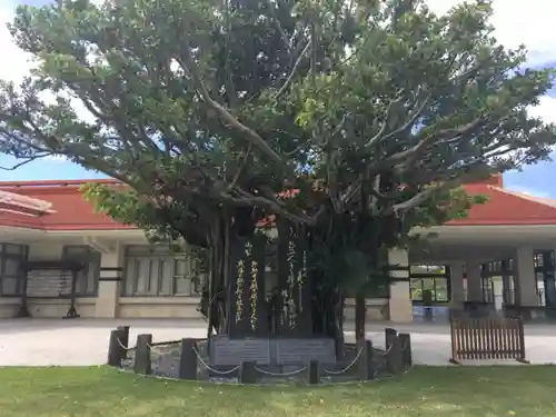 沖縄県護国神社の自然