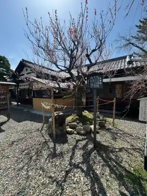 滋賀県護国神社(滋賀県)