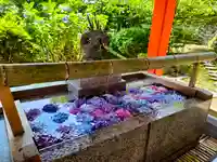 熊野那智大社の手水舎