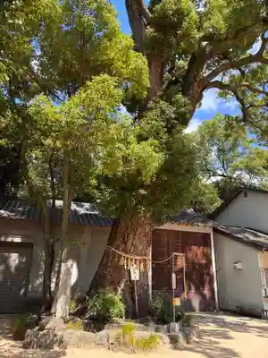 生瀬皇太神社の自然