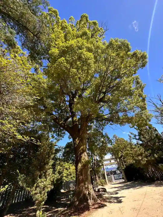 比賣久波神社(奈良県)
