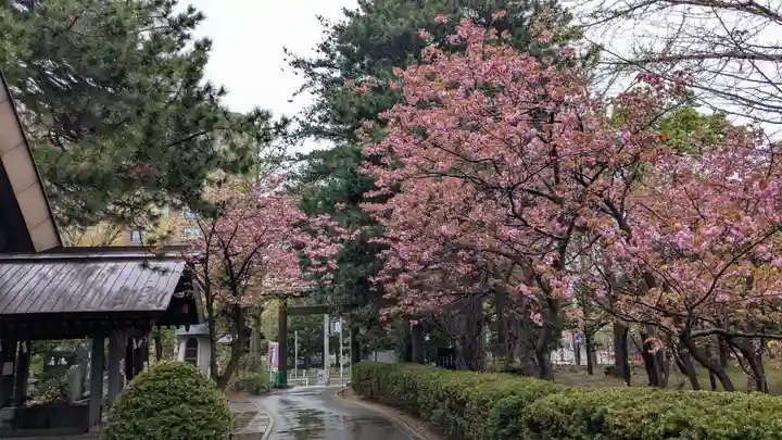 札幌護國神社の自然
