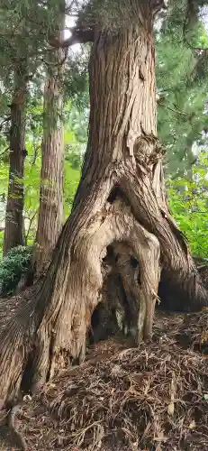 向川寺(山形県)