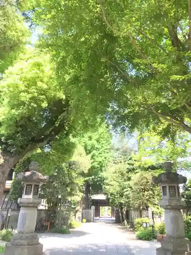 高安寺の自然