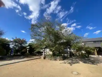 清瀧院(千葉県)