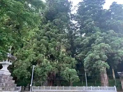 大洲七椙神社(長野県)