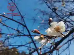 立志神社(滋賀県)