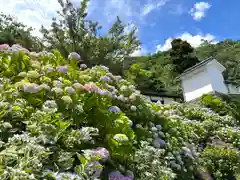 大雲寺(長野県)