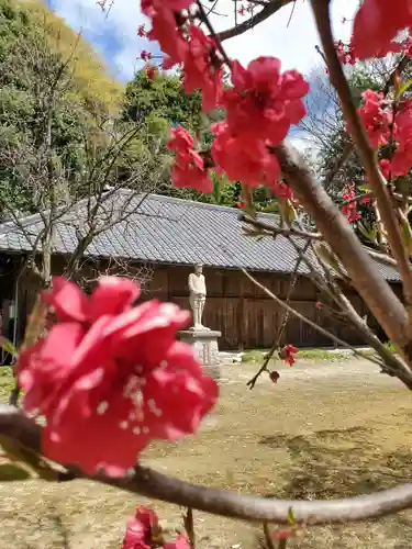 乃木神社の自然