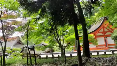 出雲大神宮(京都府)