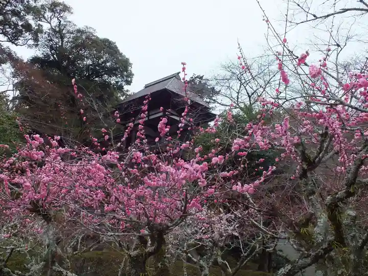 石山寺(滋賀県)