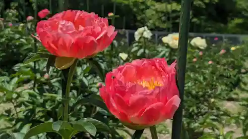 金蛇水神社の自然