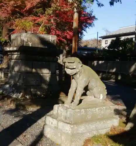 鹿嶋神社の狛犬