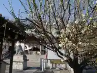 本牧神社の自然