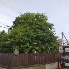 七重浜海津見神社の建物その他