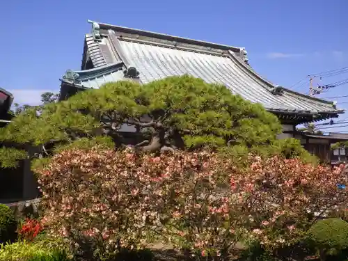 九品寺の本殿・本堂