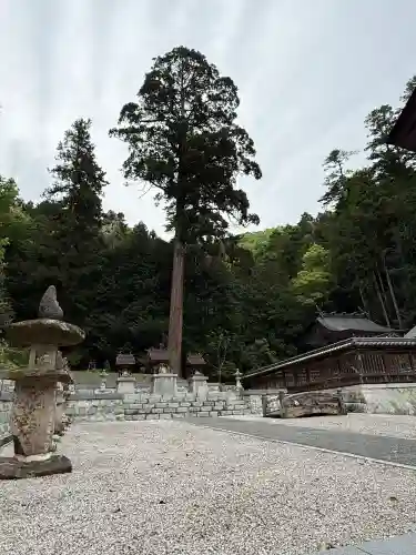 安志加茂神社の{uncategorized: "未分類", other: "その他", undefined: "問題あり", building: "その他建物", grave: "お墓", sacred_gate: "鳥居", guardian: "狛犬", statue: "像", buddha: "仏像", history: "歴史", nature: "自然", garden: "庭園", animal: "動物", pagoda: "塔", temizu: "手水舎", mountain_gate: "山門・神門", sanctuary: "本殿・本堂", subordinate: "末社・摂社", art: "芸術", scenery: "景色", jizo: "地蔵", ema: "絵馬", goshuin: "御朱印", omikuji: "おみくじ", items: "授与品その他", amulet: "お守り", goshuincho: "御朱印帳", eats: "食事", festival: "お祭り", votive_dance: "神楽", shichigosan: "七五三参", wedding: "結婚式", experience: "体験その他", initially: "初詣", around: "周辺", anti_infection: "感染症対策"}