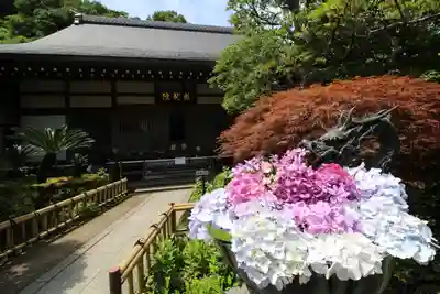 成就院の手水舎