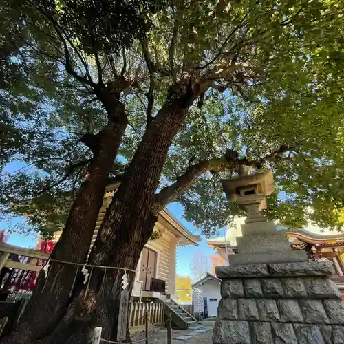 諏訪神社の自然