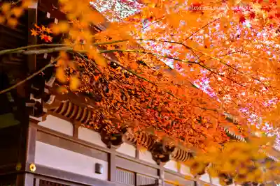 高幡不動尊　金剛寺(東京都)