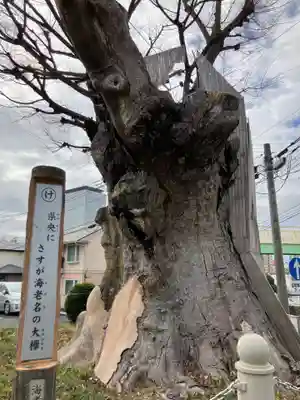 相模國分寺の自然