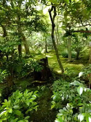 祇王寺(京都府)