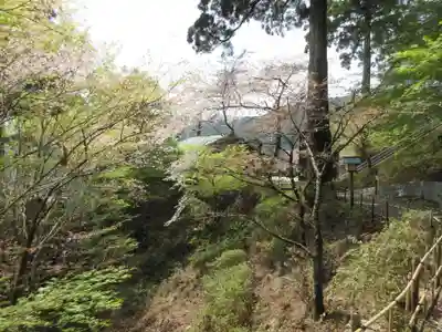 太龍寺(徳島県)