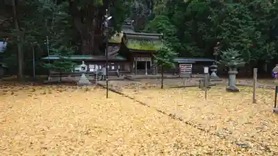 若狭姫神社（若狭彦神社下社）の本殿・本堂