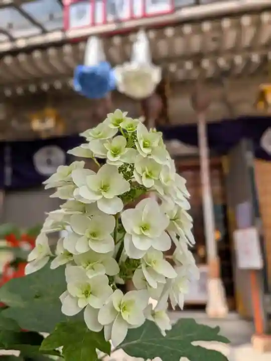 十番稲荷神社(東京都)