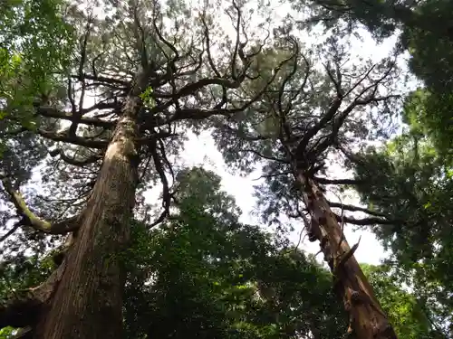 狭野神社(宮崎県)