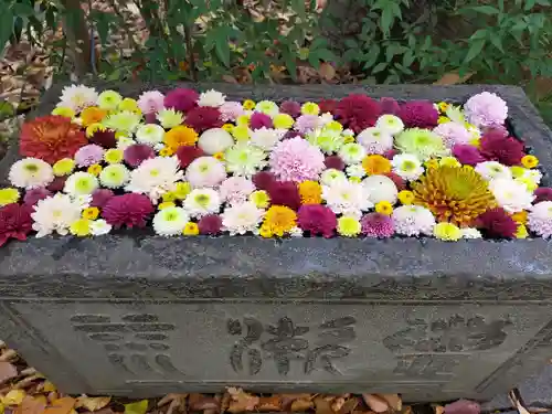 行田八幡神社(埼玉県)