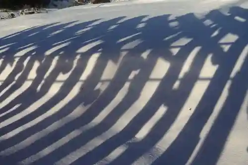 高屋敷稲荷神社の自然