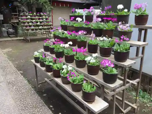 稲荷鬼王神社のその他建物