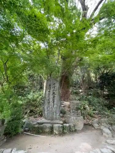 太宰府天満宮の自然