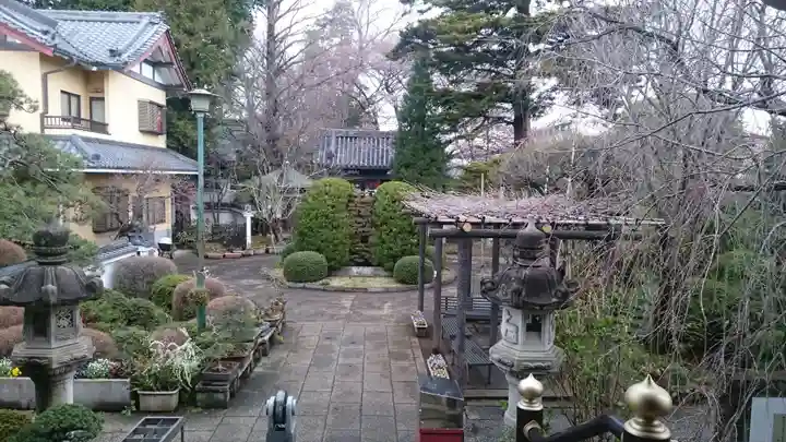 井口院の庭園