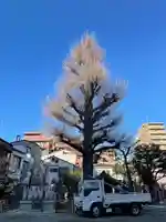 福王山 慈眼寺の自然